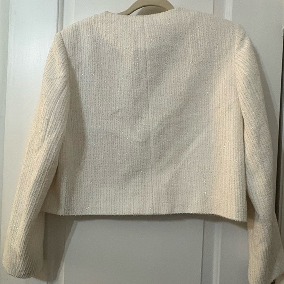 Nwt- zara- textured blazer-Large - Picture 4 of 4